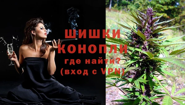 ПСИЛОЦИБИНОВЫЕ ГРИБЫ Алзамай