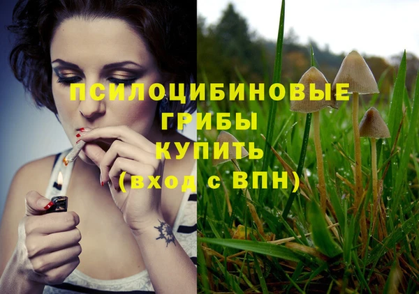 ECSTASY Алексин