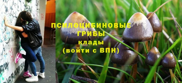 ПСИЛОЦИБИНОВЫЕ ГРИБЫ Алзамай