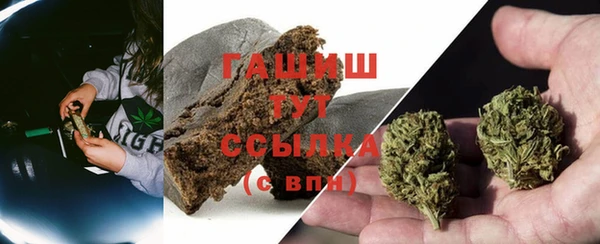ПСИЛОЦИБИНОВЫЕ ГРИБЫ Алзамай